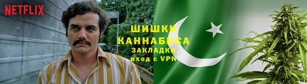 apvp Горнозаводск