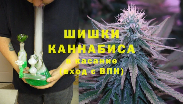 apvp Горнозаводск