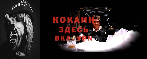 apvp Горнозаводск