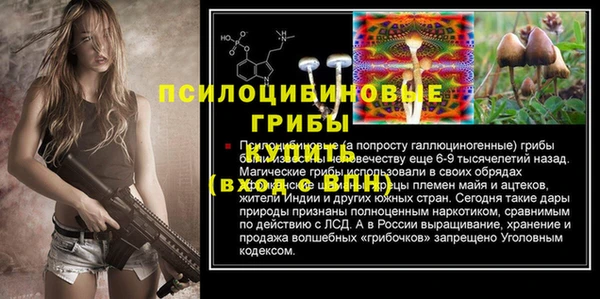 первитин Горняк