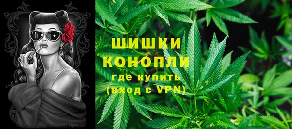 apvp Горнозаводск