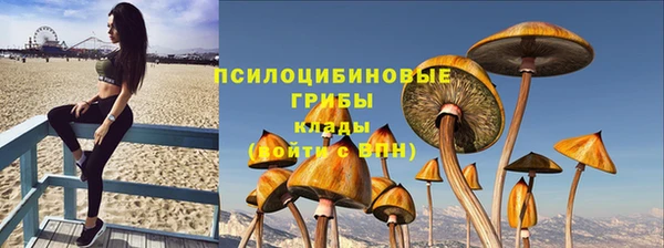первитин Горняк