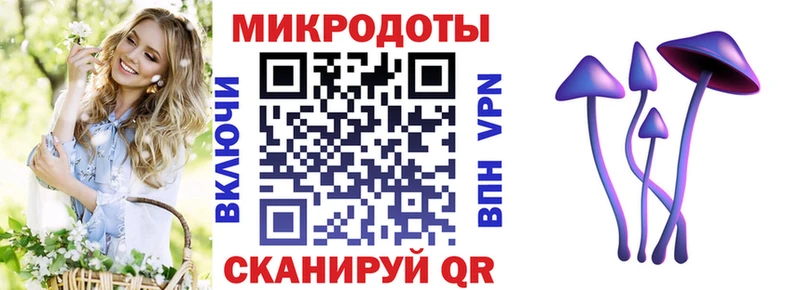 Купить  Хотьково  Галлюциногенные грибы Psilocybine cubensis 